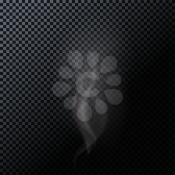 Naturalistic Smoke Isolated on Dark Background. Vector Illustration. EPS10