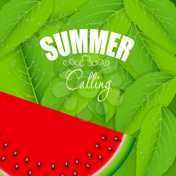 Abstract Natural Summer Background with Watermelon. Vector Illustration.