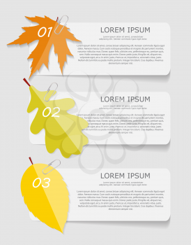Autumn Leaves Infographic Templates for Business Vector Illustration. EPS10