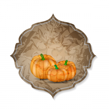Orange Pumpkin on Background Vector Illustration. EPS10