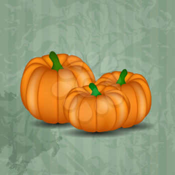Orange Pumpkin on Grey Background. Vector Illustration. EPS10