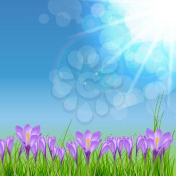 Happy Easter Card with Crocuses Vector Illustration EPS10