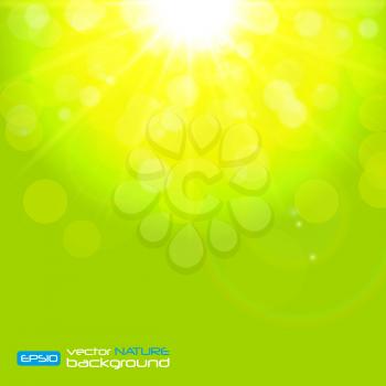Natural Sunny on Background Vector Illustration EPS10