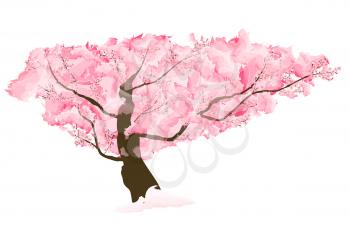 Abstract Floral Sakura Flower Japanese Tree Natural Background Vector Illustration EPS10
