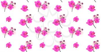 Seamless Pattern Naturalistic Beautiful Colorful Pink Orchid.Vector Illustration. EPS10