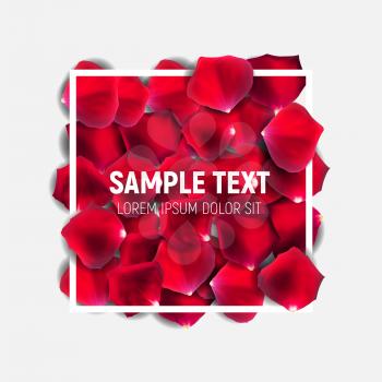 Abstract Natural Rose Petals with Frame Background Realistic Vector Illustration EPS10
