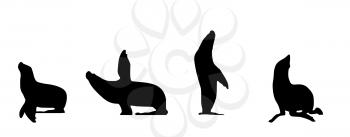 Seal in different positions Isolated on White. Vector Illustration. EPS10