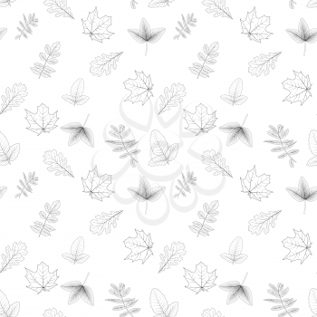 Naturalistic autumn leaves on White. Seamless pattern. Vector Illustration. EPS10