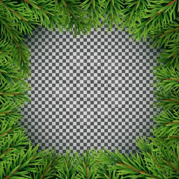 Realistic Fir Branches. Merry Christmas and New Year Winter Natural Background. Vector Illustration EPS10