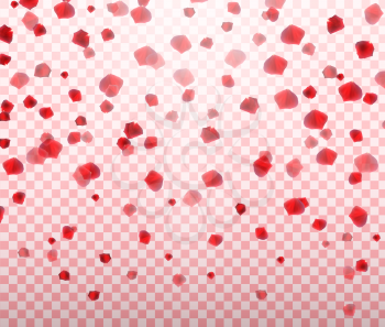 Naturalistic colorful falling rose petals on transparent background. Vector Illustration. EPS10