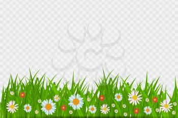 Grass and flowers border, greeting card decoration element for Easter on a Transparent Background. Vector Illustration. EPS10