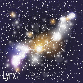 Lynx Constellation with Beautiful Bright Stars on the Background of Cosmic Sky Vector Illustration. EPS10