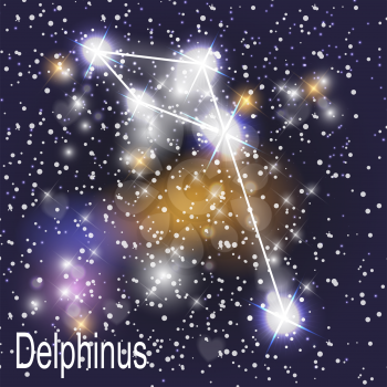 Delphinus Constellation with Beautiful Bright Stars on the Background of Cosmic Sky Vector Illustration. EPS10