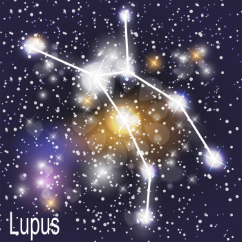 Lupus Constellation with Beautiful Bright Stars on the Background of Cosmic Sky Vector Illustration. EPS10
