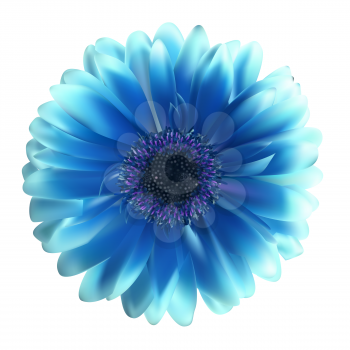 Gerbera Flower Background Vector Illustration EPS10