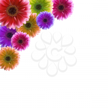 Gerbera Flower Background Vector Illustration EPS10