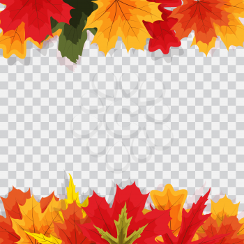 Autumn Natural Leaves on Transparent Background. Vector Illustration EPS10