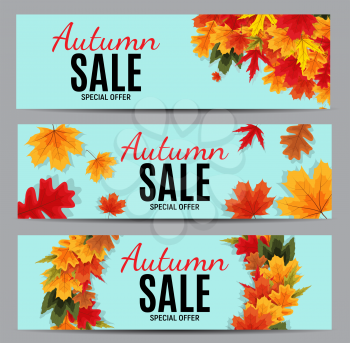 Shiny Autumn Leaves Sale Banner. Business Discount Card Template Collection Set. Vector Illustration EPS10