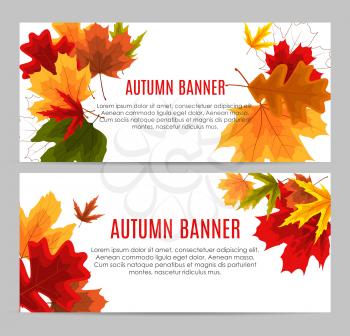 Shiny Autumn Leaves Banner. Business Discount Card. Vector Illustration EPS10