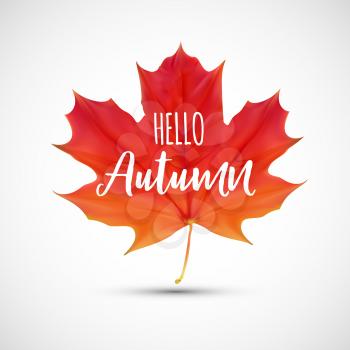 Shiny Hello Autumn Natural Leaves Background. Vector Illustration EPS10