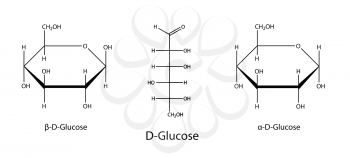 Structural chemical formulas of glucose (D-glucose), 2D illustration, vector, isolated on white background, eps8
