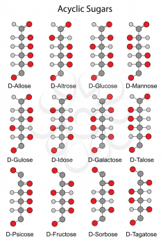 Acyclic basic structural chemical formulas of monosaccharides - hexoses. 2D illustration, vector, isolated on white background, eps 8