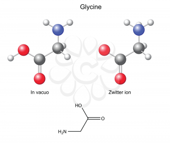 Glycine (Gly) - chemical structural formula and models, 2d and 3d vector, eps 8