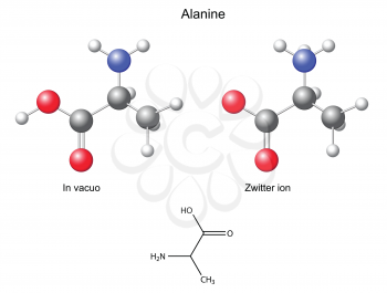 Alanine Ala - chemical structural formula and models, 2d and 3d vector, eps 8