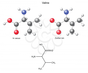 Valine Val - chemical structural formula and model, 2d and 3d vector, eps 8