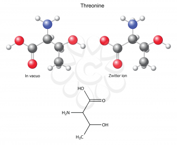 Threonine (Thr) - chemical structural formula and models, amino acid, in vacuo, zwitterion, 2D and 3D illustration, balls and sticks, isolated on white background, vector, eps8