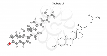 Structural chemical formulas of cholesterol molecule, 2D Illustration, isolated on white background, circles and sticks, vector, esp8