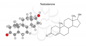 Structural chemical formulas of testosterone molecule, circles and sticks, isolated on white background, 2D Illustration, vector, eps8