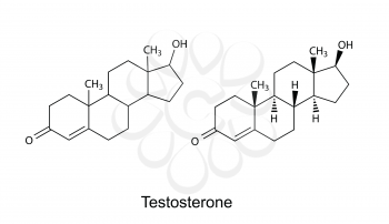 Structural formulas of testosterone molecule, 2d Illustration, vector, eps 8