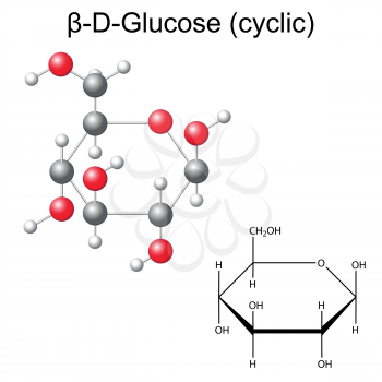 Structural chemical formula and model of glucose - beta-D-glucose, 2d and 3d illustration, vector, isolated on white background, eps8