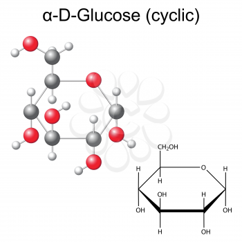 Structural chemical formula and model of glucose - alpha-D-glucose, 2D and 3D illustration, vector, isolated on white background, eps 8