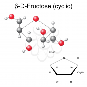 Structural chemical formula and model of fructose - beta-D-fructose, 2D and 3D illustration, vector, isolated on white background, eps 8