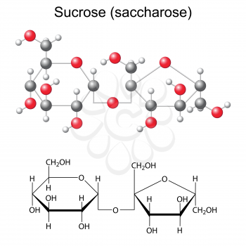 Structural chemical formula and model of sucrose - saccharose, 2D and 3D illustration, vector, isolated, ball and stick style, eps 8