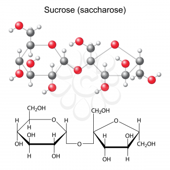 Structural chemical formula and model of sucrose - saccharose, 2d and 3D illustration, isolated  vector, eps 8