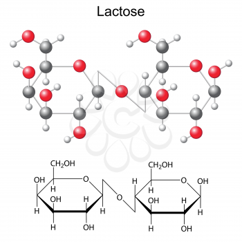 Structural chemical formula and model of  lactose, 2d and 3d illustration, isolated, vector, eps 8
