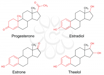 Structural formulas of female sex hormones (progesterone, estradiol, estrone, estriol) with marked variable fragments, 2D Illustration, vector, eps8