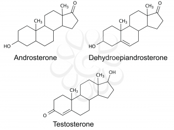 Structural formulas of male sex hormones (androsterone, dehydroepiandrosterone, testosterone), 2D Illustration, vector