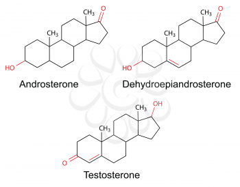 Structural formulas of male sex hormones (androsterone, dehydroepiandrosterone, testosterone) with marked variable fragments, 2D Illustration, vector
