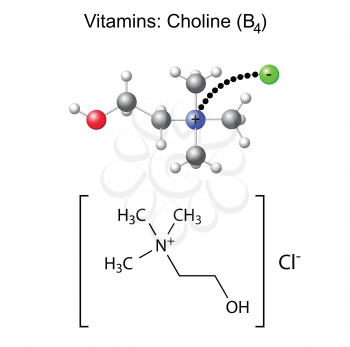Structural chemical formula and model of vitamin choline - b4, 3d and 2d illustration, isolated on white, vector, eps 8