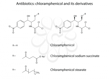 Structural chemical formulas of antibiotic chloramphenicol: chloramphenicol, chloramphenicol sodium succinate, chloramphenicol stearate, 2d illustration, isolated on white background, vector, eps 8