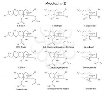 Structural chemical formulas of A-type mycotoxins, 2d illustration,  isolated on white background, vector, eps 8