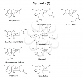 Structural chemical formulas of B-type mycotoxins, 2d illustration,  isolated on white background, vector, eps 8
