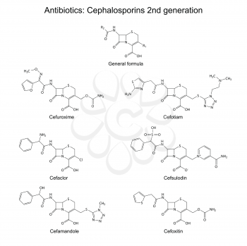 Structural chemical formulas of antibiotics - cephalosporins of second generation (beta-lactam group): cefuroxime, cefaclor, cefamandole, cefotiam, cefsulodin, cefoxitin, vector, eps 8