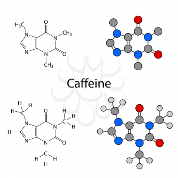 Caffeine molecule - structural chemical formulas and models, skeletal & circles and sticks styles, 2d illustration, isolated on white background, vector, eps8