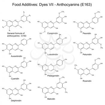 Food dyes and plant pigments- anthocyanins, structural chemical formulas, seventh set E163, 2d illustration on a white background, vector, eps 8