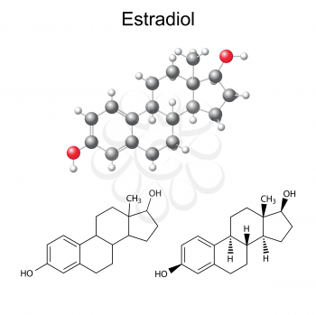Structural chemical formulas and model of estradiol molecule, 2D & 3D Illustration,  isolated on white background, vector, eps8